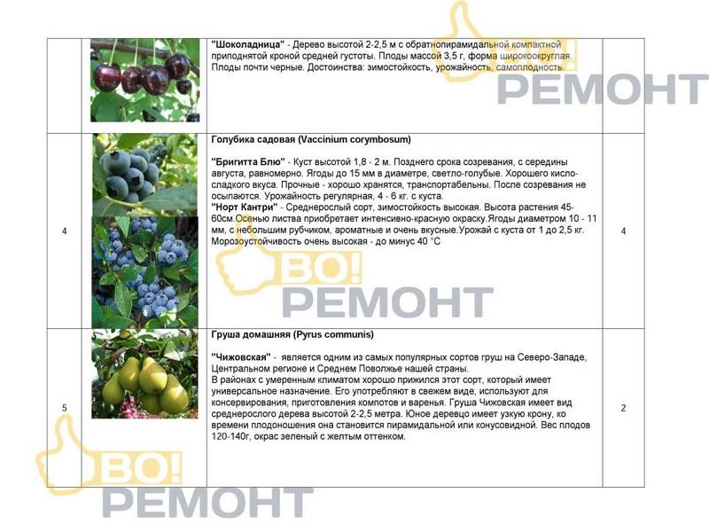 Проект благоустройства территории-102